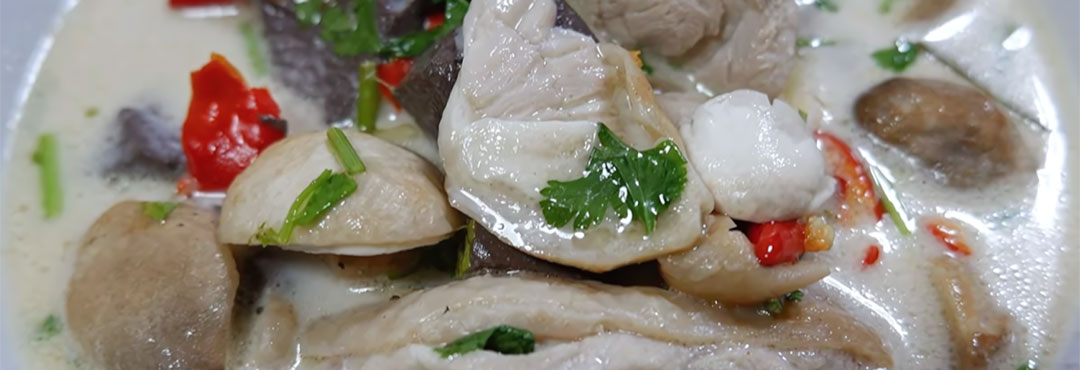 illustration Tom Kra Kaï, soupe de poulet coco