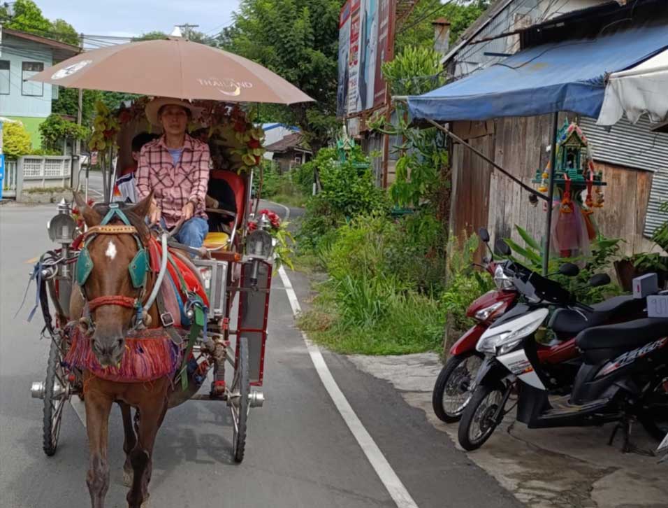 Rot Ma, ces calèches tirées par des chevaux qui parcourent le centre historique